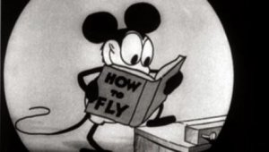  The Walt Disney Company