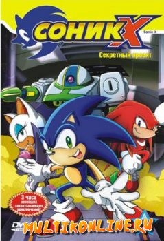 Соник Икс / Sonic X 3 сезон (2003)